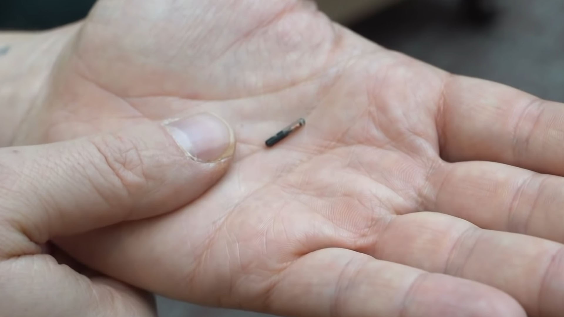 Sob a pele: startup sueca mostra chip implantvel que funciona como passaporte de vacina