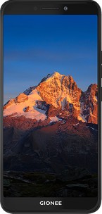 Gionee F205