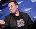 Elon Musk take over