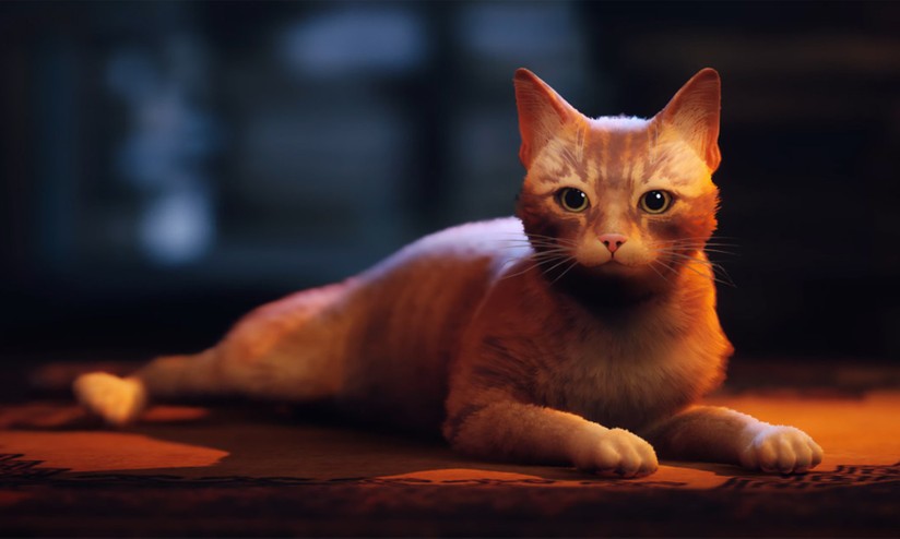 Stray: jogo do gato de mochila ganhará filme animado com diretor