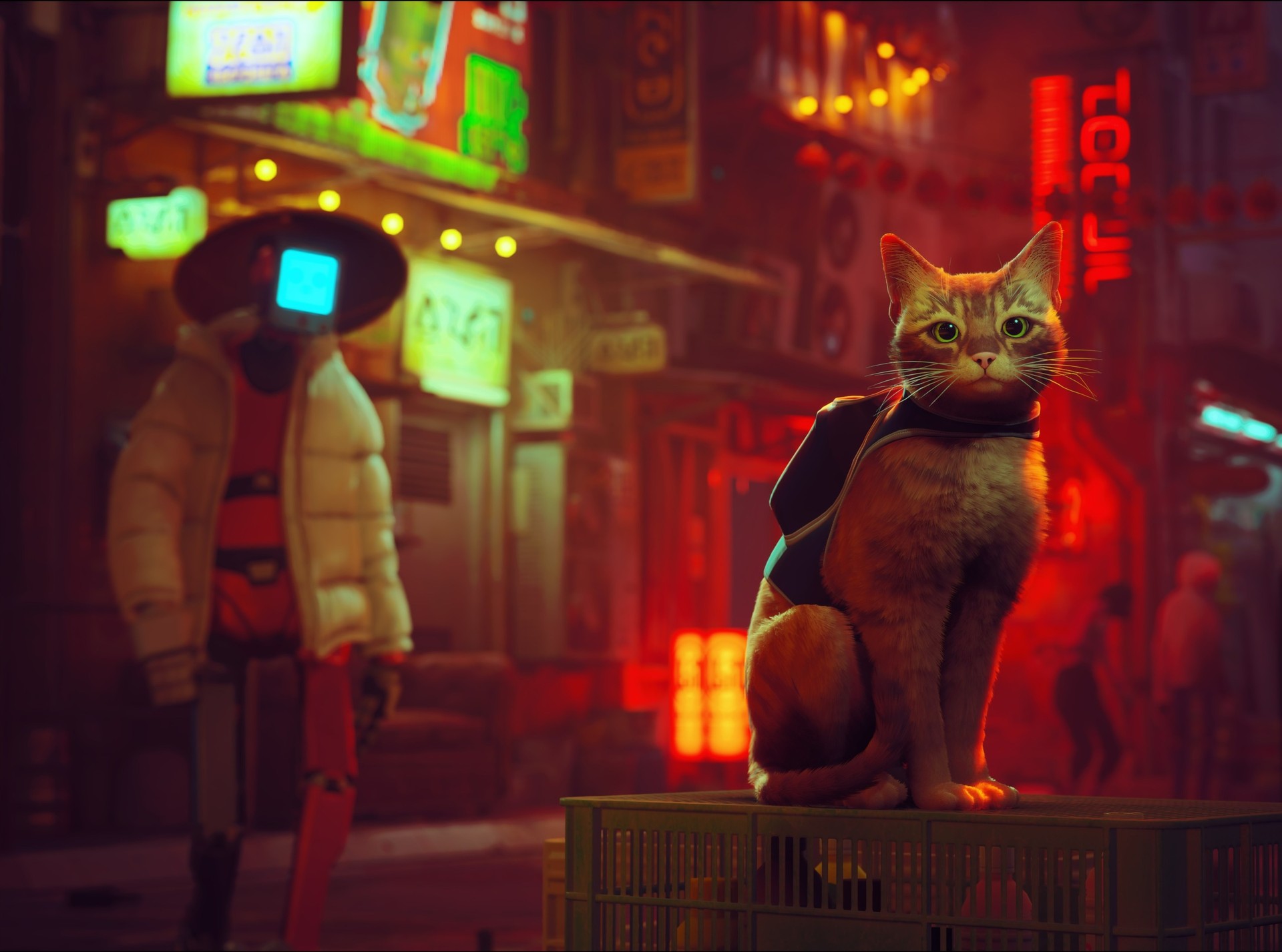 TGA 2022 elege Stray a melhor jogo indie do ano e infla expectativas para o  futuro