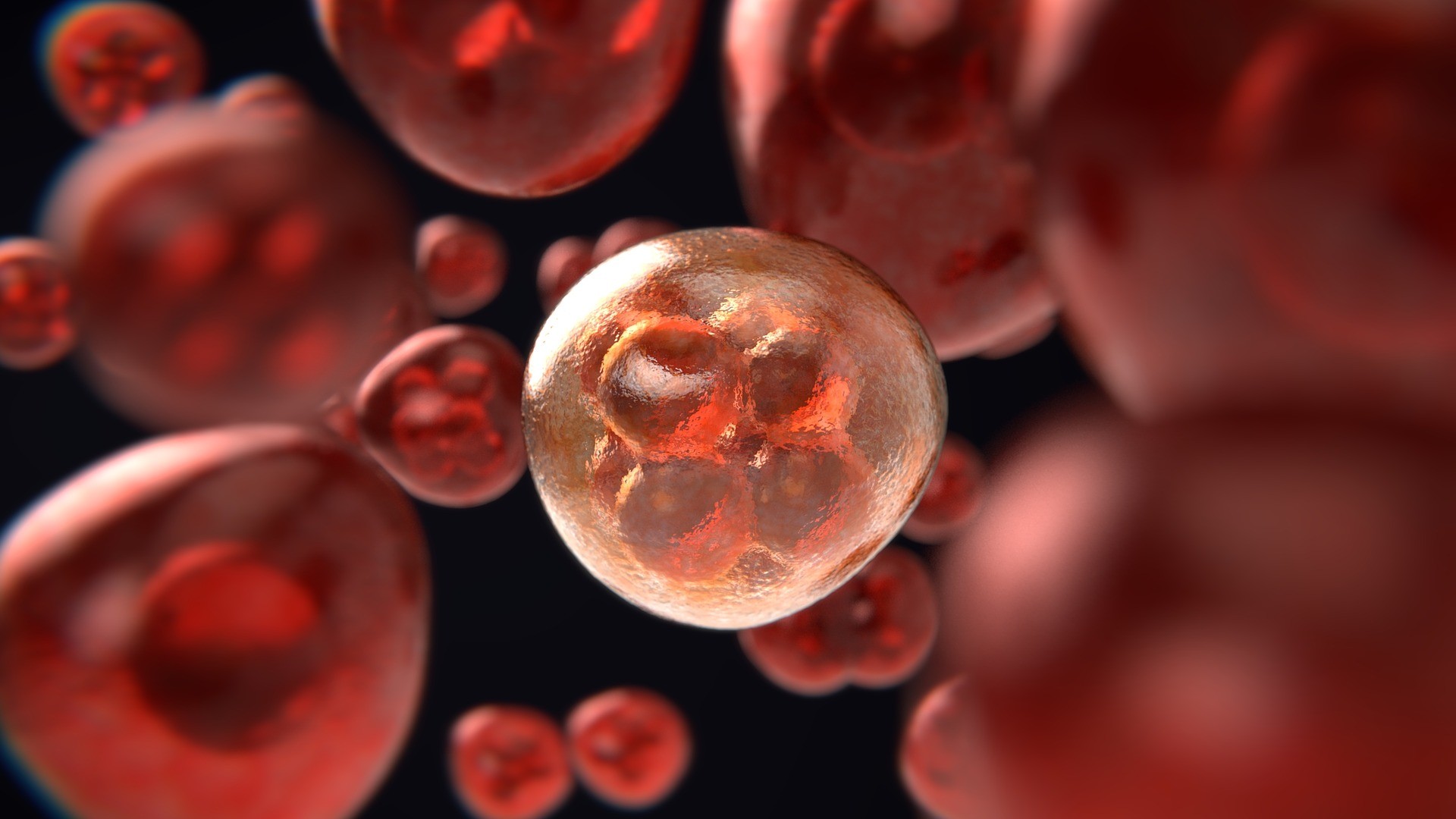 Brasilianische Wissenschaftler verwenden „künstliche Zellen“ in einem Test zur Krebsbekämpfung