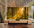 Samsung should bring QD-OLED TVs with resolution