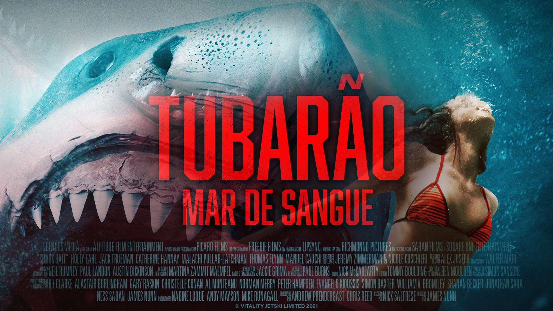 Tubarão: Mar de Sangue  Terror ganha data de estreia e trailer; confira o  vídeo! 