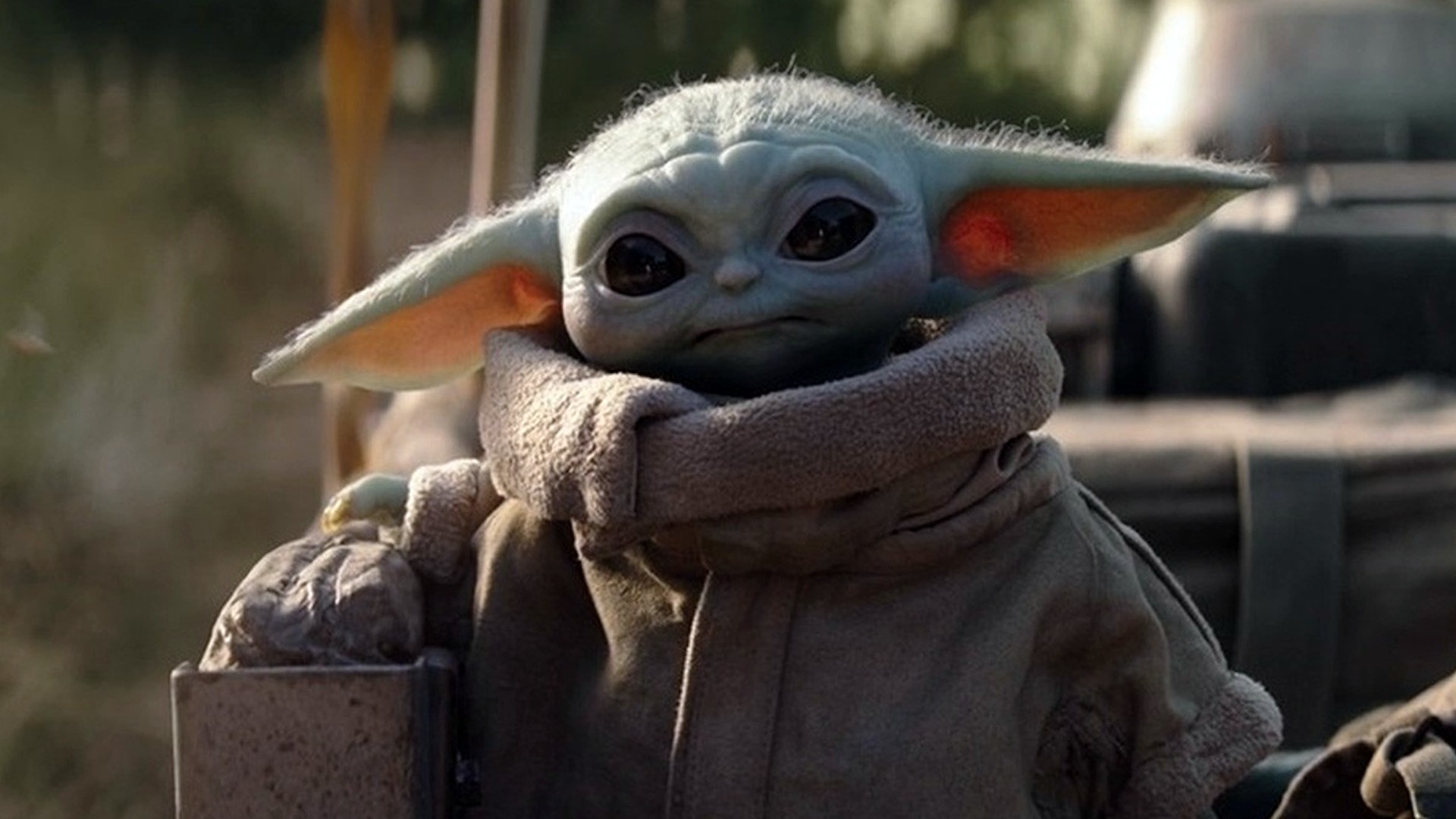 Baby Yoda deve participar de próximos filmes de Star Wars, diz site