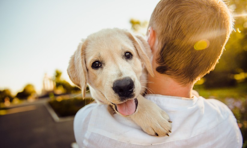 Imagem de um menino carregando um cachorro no colo.