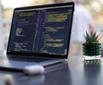 Ri Happy e DIO lan?am bootcamp de tecnologia com 10 mil bolsas de estudos gratuitas