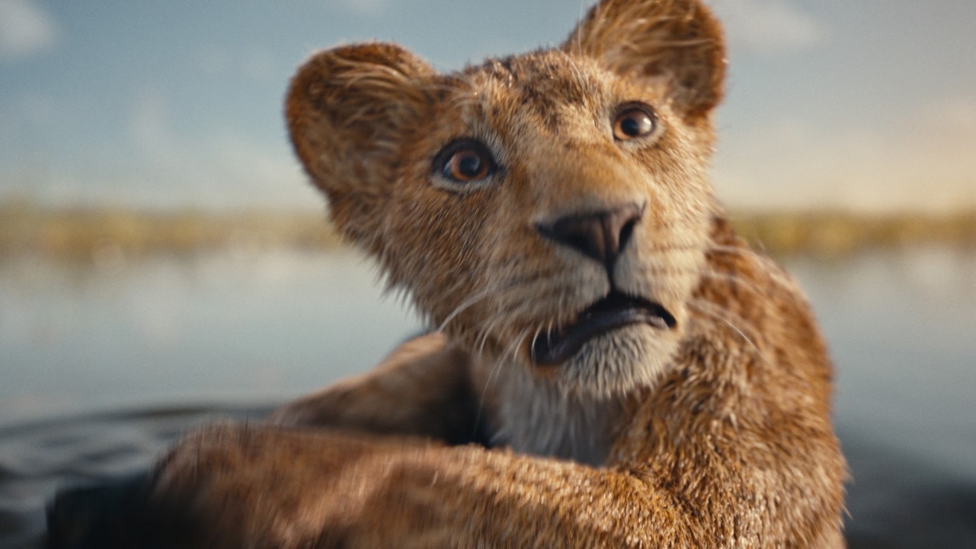 Mufasa Derivado Em Live Action De O Rei Leão Ganha Seu Primeiro Trailer 