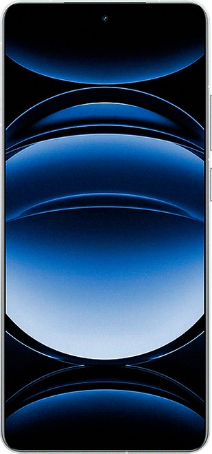 realme GT 6 (China)
