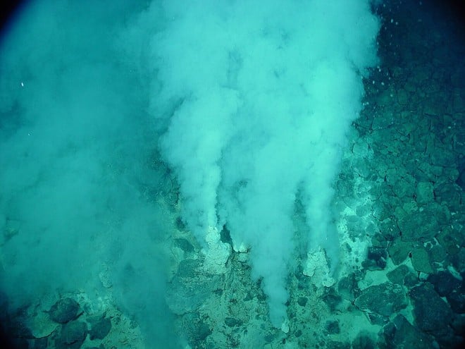 Deep sea: researchers discover new forms of life beneath the ocean