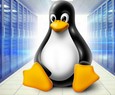 Criador do Linux diz que Intel, AMD, NVIDIA e outras esto por trs das vulnerabilidades do SO