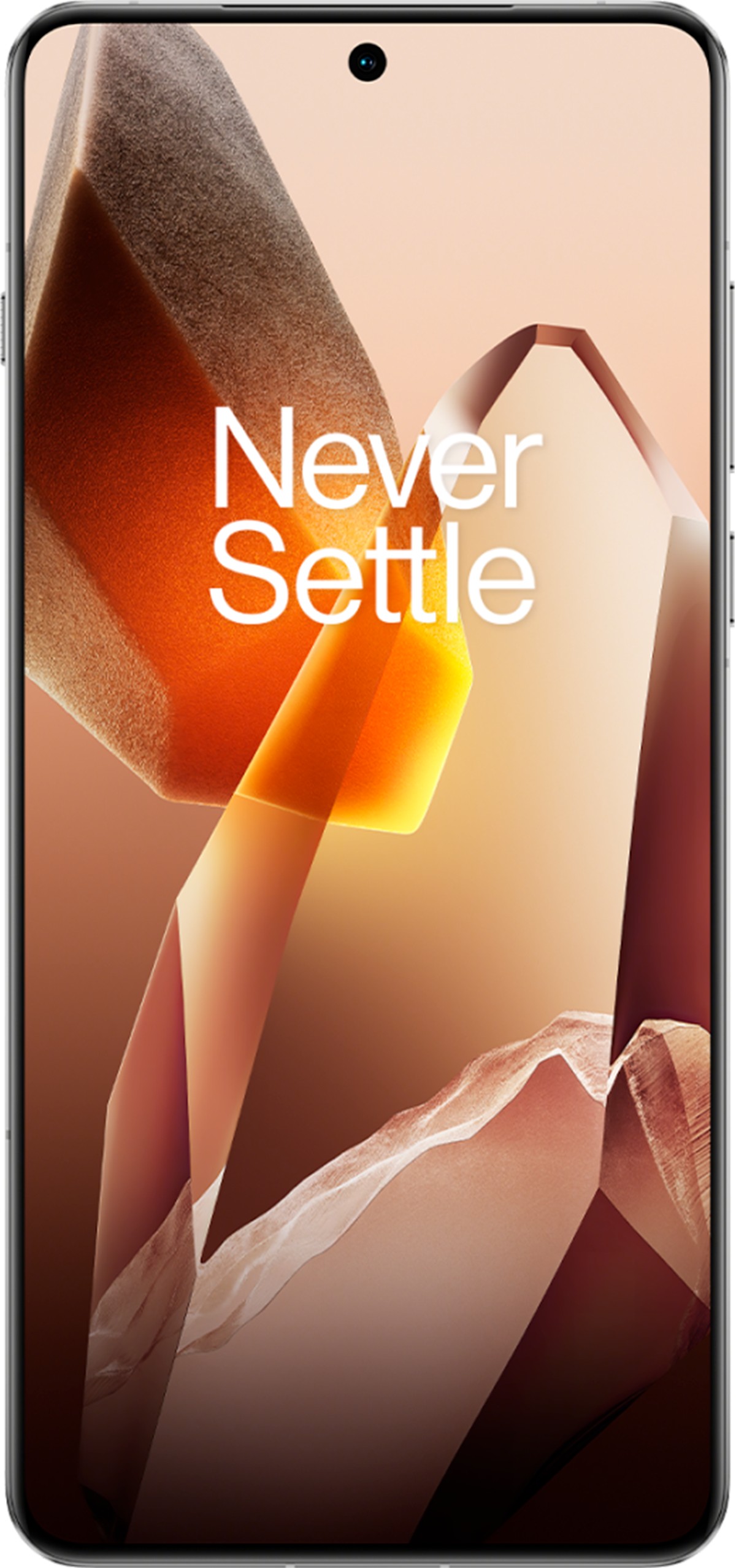 OnePlus 13 ホワイト 12GB+256GB SIMフリー OnePlus 13 ホワイト 12GB+256GB SIMフリー OnePlus 13 12GB+256GB White