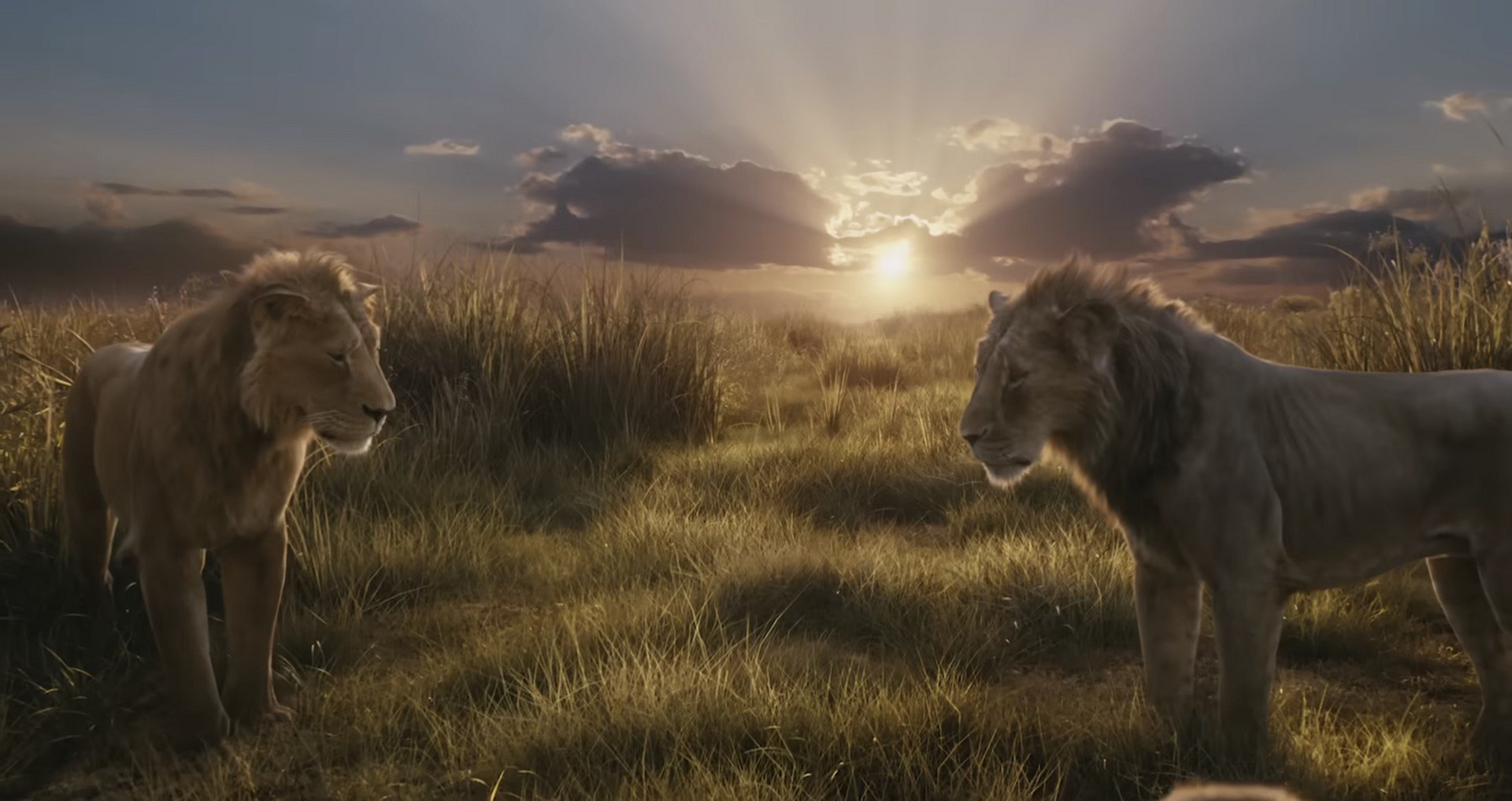 Mufasa: The Lion King gets final trailer before hitting theaters