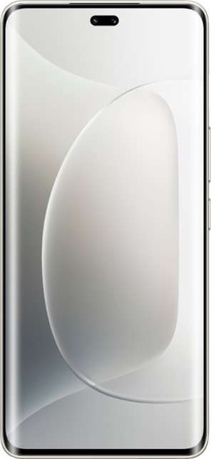 Honor 300 Pro