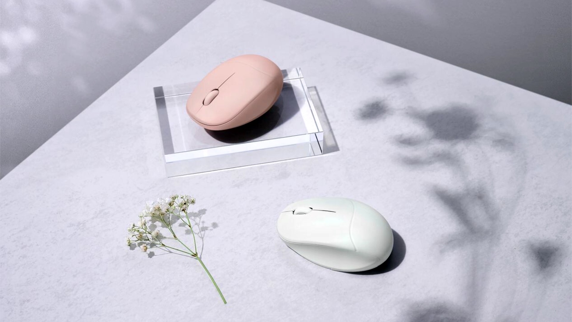 Mouse com cheirinho: ASUS anuncia periférico que emite fragrâncias no ambiente