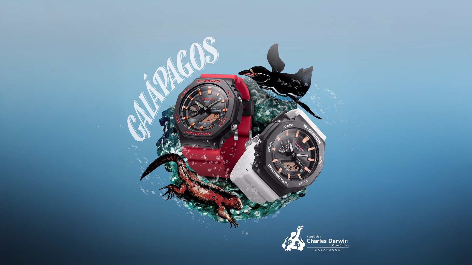 Casio lança edições especiais do relógio G-Shock inspiradas em animais das Ilhas Galápagos