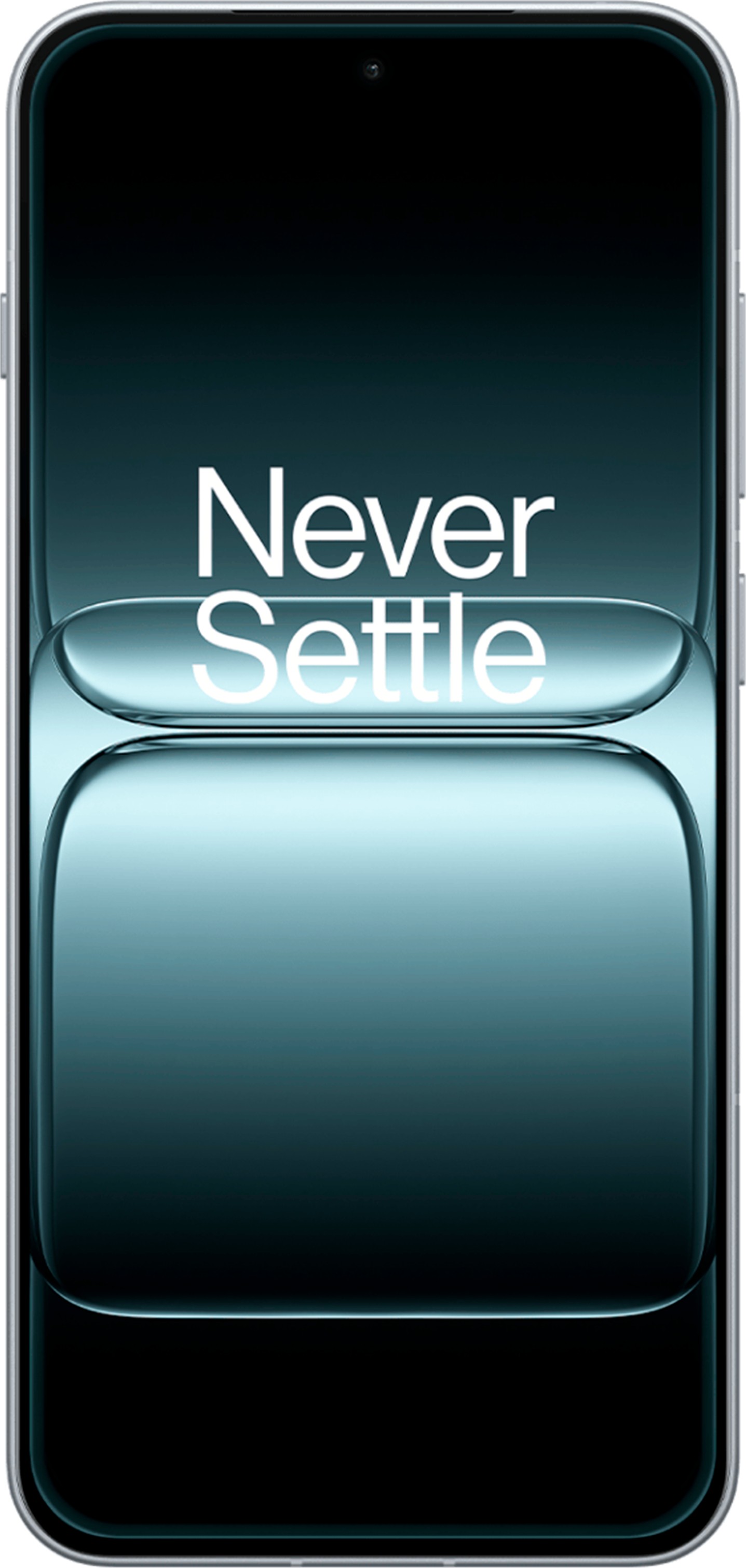 OnePlus 13T