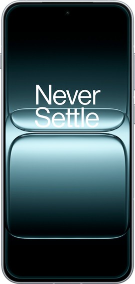 OnePlus 13T