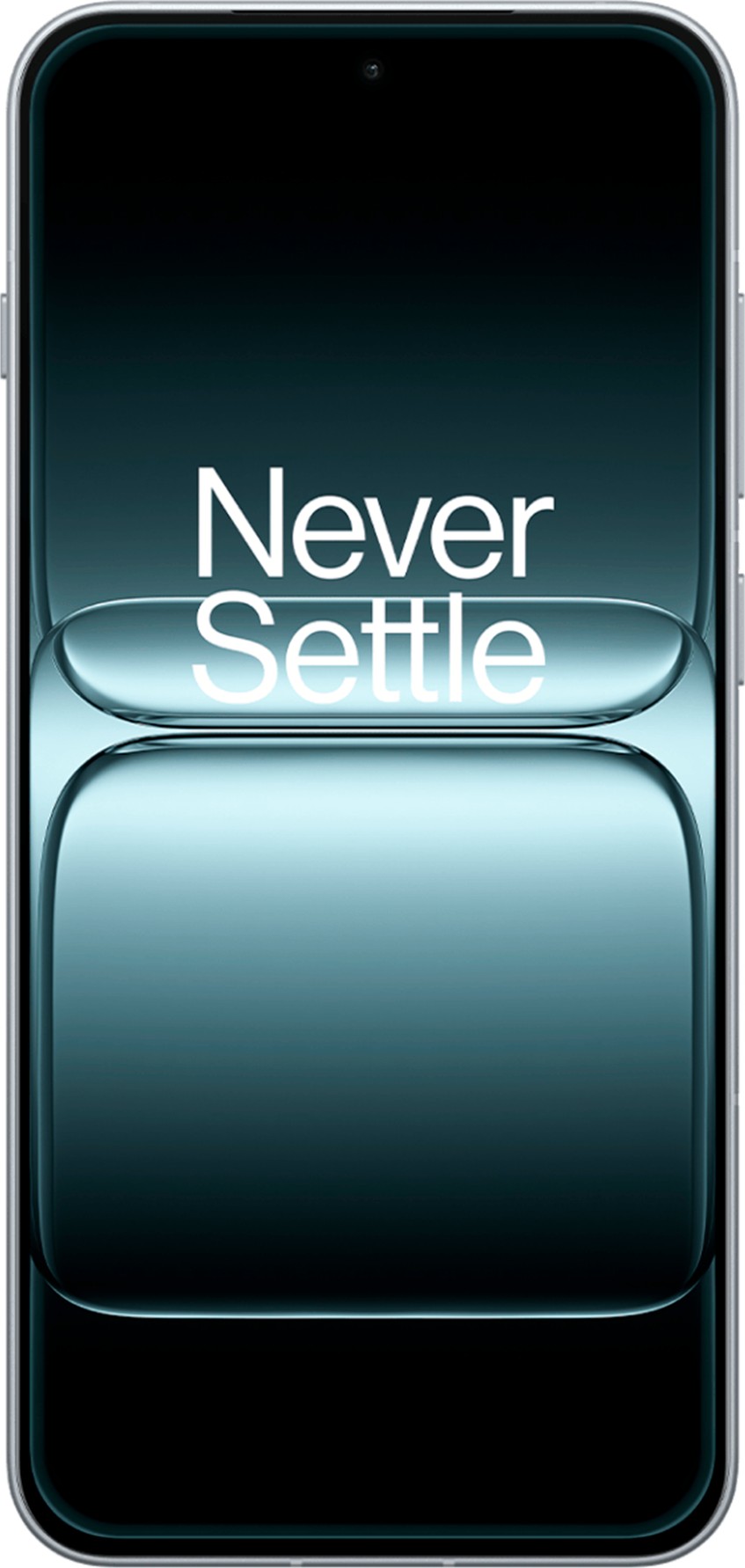 OnePlus 13T