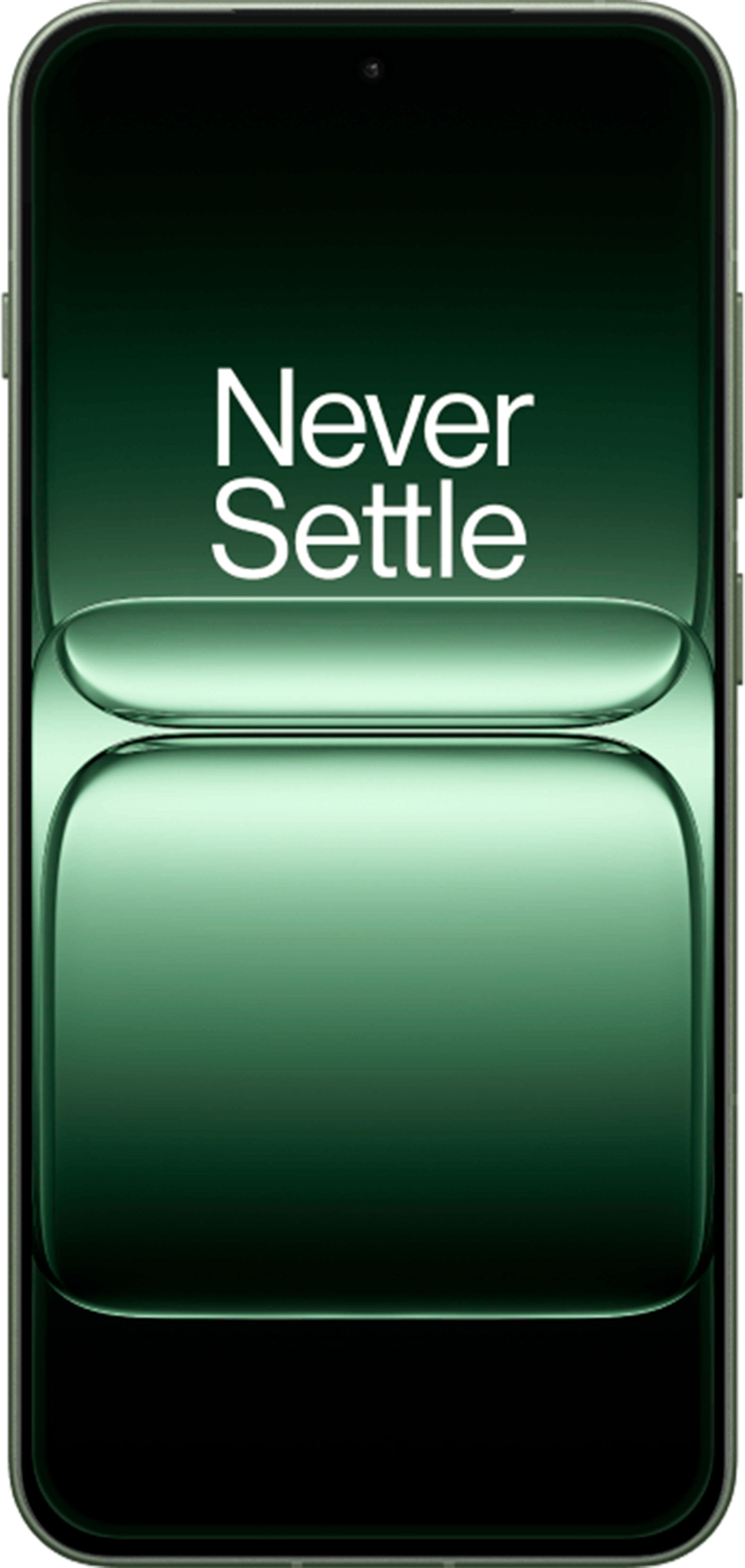 OnePlus 13s