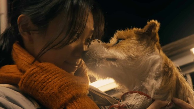 Filmado com o iPhone 17 Pro: Apple celebra Ano Novo Chinês com curta emocionante