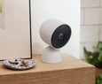 Gemini no Google Home confunde animais australianos com pessoas e gatos com guaxinins