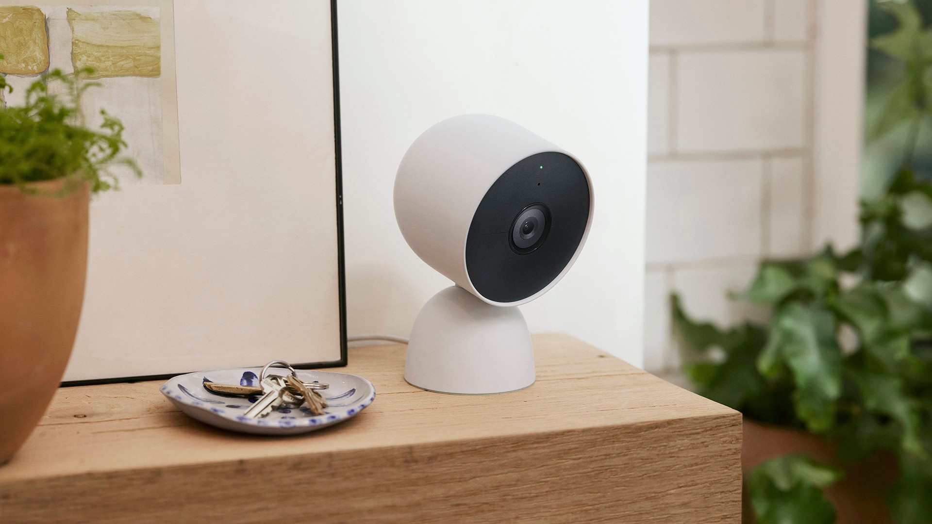Gemini no Google Home confunde animais australianos com pessoas e gatos com guaxinins