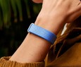  concorrente da Google Fitbit Air fabricada pela Amazfit ? certificada nos EUA
