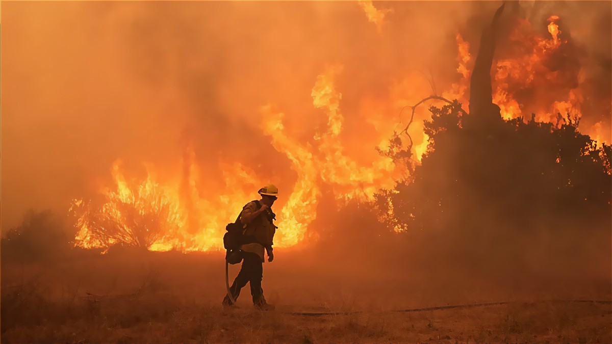 Tim Cook anuncia ajuda da Apple para afetados por "devastadores incêndios florestais"