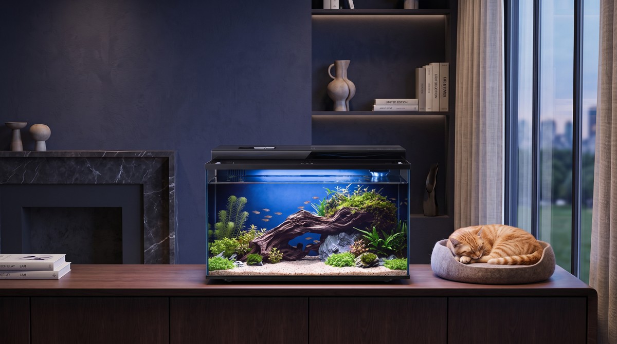 Xiaomi lança aquário Mijia com IA que alimenta peixes e ajusta a filtragem automaticamente